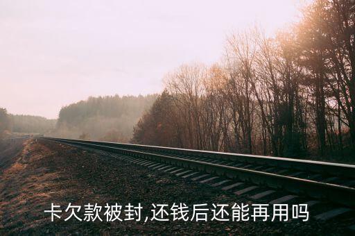 卡欠款被封,还钱后还能再用吗