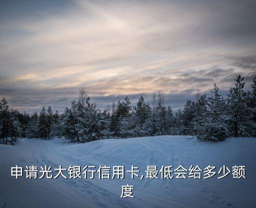 申请光大银行信用卡,最低会给多少额度