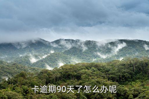 卡逾期90天了怎么办呢