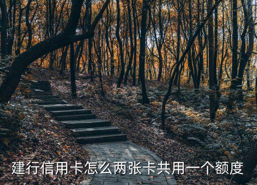 信用卡两张卡额度一样,广发信用卡两张卡额度一样