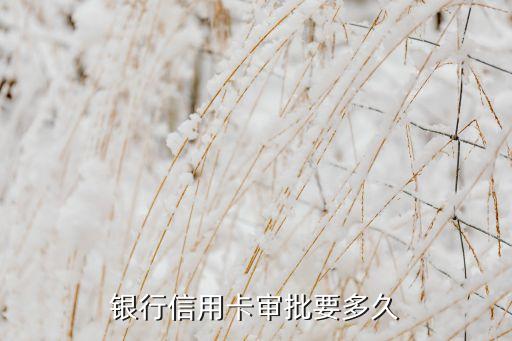 银行信用卡审批要多久