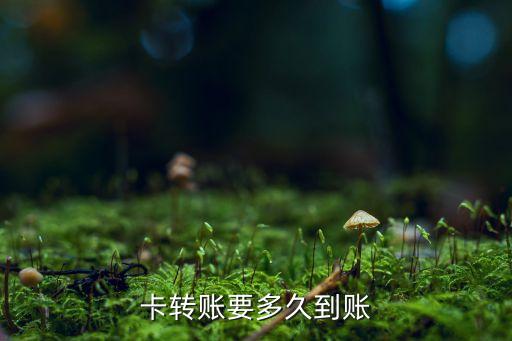 信用卡转账了多久还款,信用卡转账算还款吗?