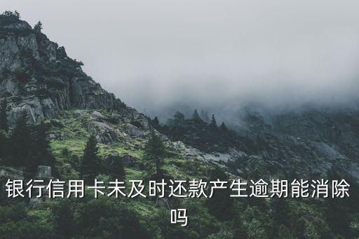 银行信用卡未及时还款产生逾期能消除吗