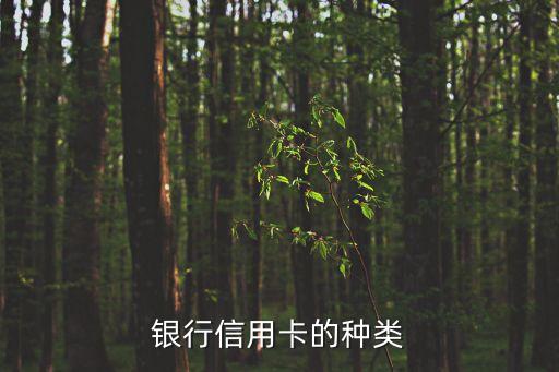 中信银行信用卡美国旅行,常州绿清环保科技有限公司