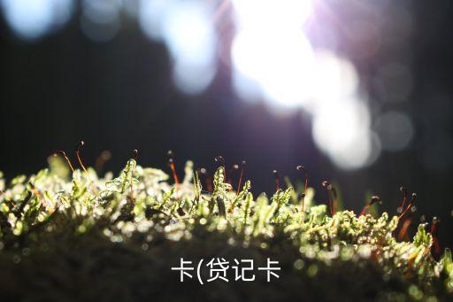 信用卡呆账柜台还款减免,工行的不良信用卡如何还款?