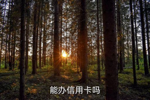 能办信用卡吗