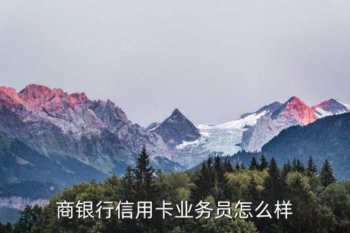 商银行信用卡业务员怎么样