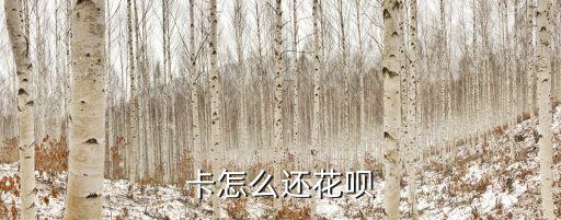 卡怎么还花呗