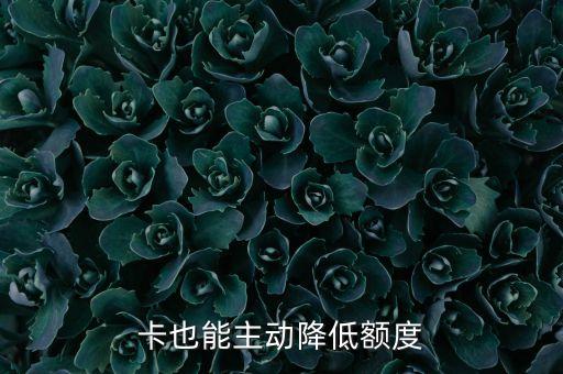 卡也能主动降低额度