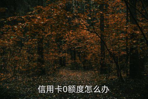 想申请0额度信用卡怎么办,申请的信用卡额度为零怎么办?