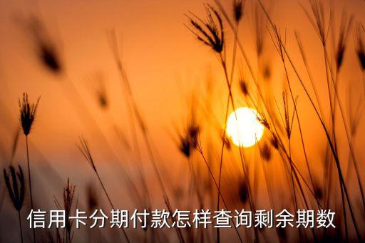 建设信用卡分期怎么看,如何看待招商信用卡的分期账单?