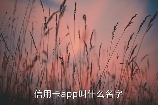 信用卡app叫什么名字