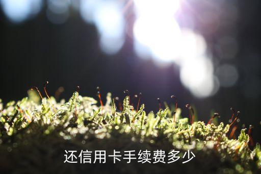 还信用卡手续费多少