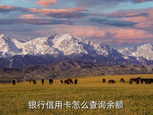 邮政信用卡查询还款额,如何查询邮储银行信用卡账单?