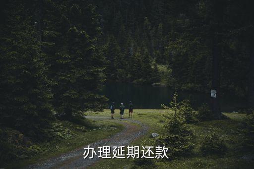 办理延期还款