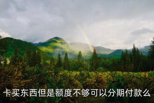 信用卡额度不够能买东西吗,想买东西信用卡额度不够怎么办?