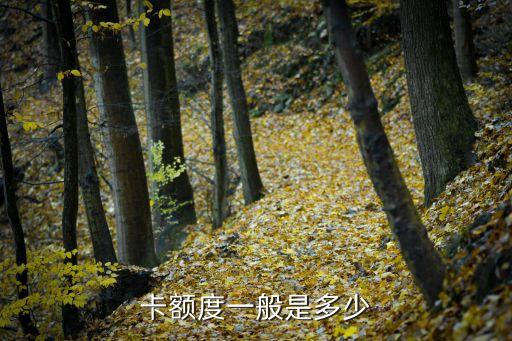 每单位办理信用卡额度多少,大学生的信用卡额度是多少?
