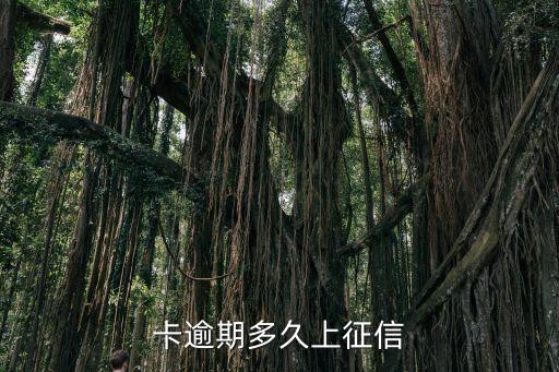 卡逾期多久上征信