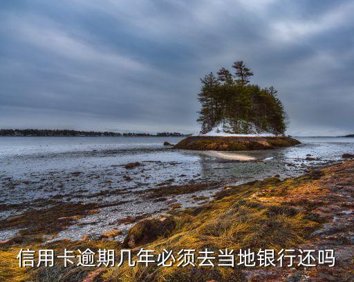 信用卡逾期几年必须去当地银行还吗