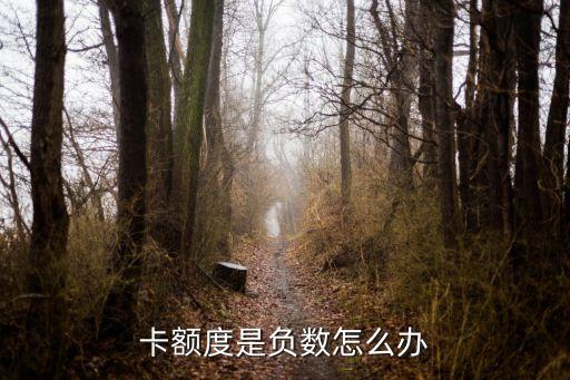信用卡临时额度降低变负数,临时额度已减少