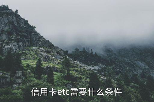信用卡etc需要什么条件