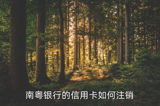 南粤银行的信用卡如何注销
