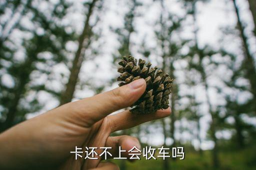 卡还不上会收车吗