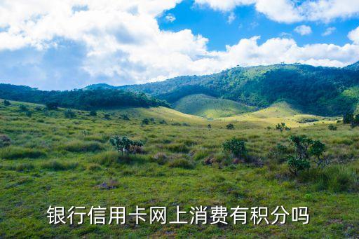 银行信用卡网上消费有积分吗