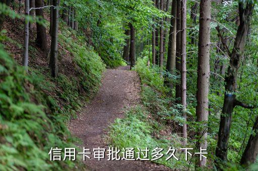 信用卡审批通过多久下卡
