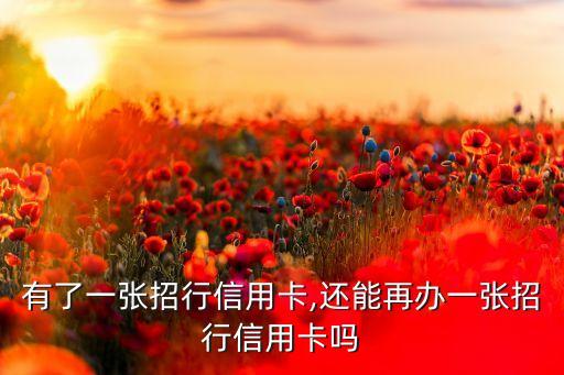 有了一张招行信用卡,还能再办一张招行信用卡吗