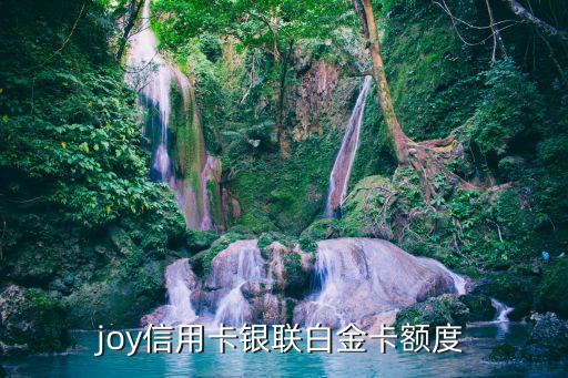 joy信用卡银联白金卡额度