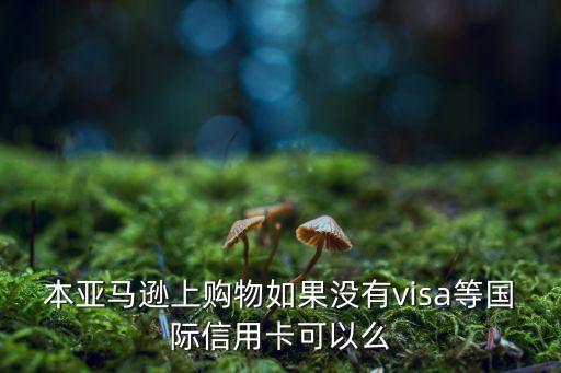 亚马逊信用卡怎么申请额度,常州绿清环保科技有限公司
