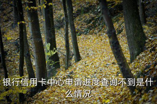 申办民生信用卡申请进度,如何看待民生信用卡的申请进度?