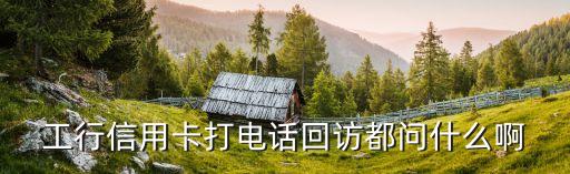 工行信用卡打电话回访都问什么啊