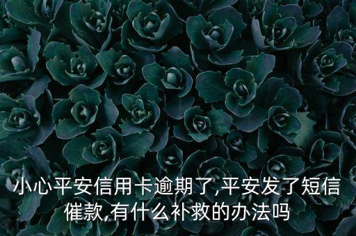 平安信用卡不小心逾期,铜陵蓝冰文化传播有限公司