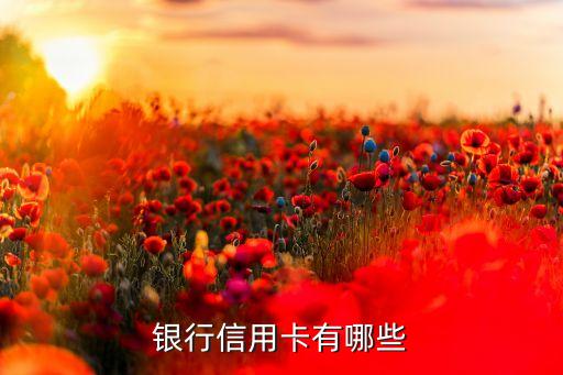 银行信用卡有哪些
