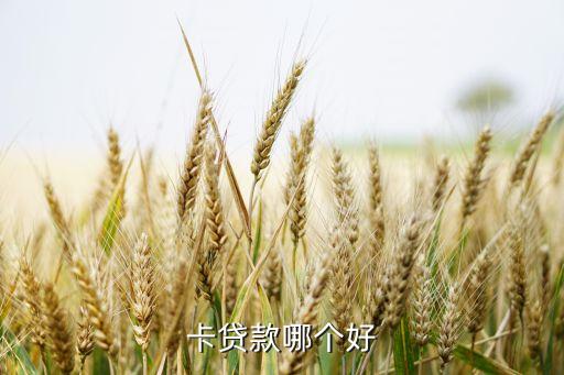 卡贷款哪个好