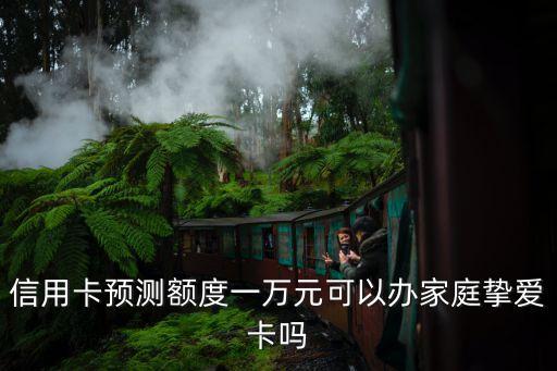信用卡预测额度一万元可以办家庭挚爱卡吗