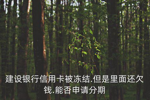 建设银行信用卡被冻结.但是里面还欠钱.能否申请分期