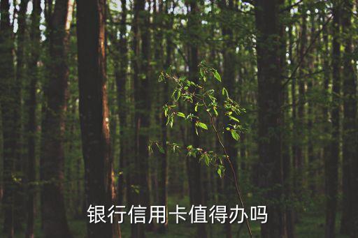 日照银行信用卡可以刷卡吗,哪些银行信用卡可以透支?