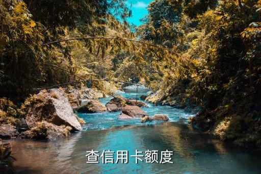 查信用卡额度