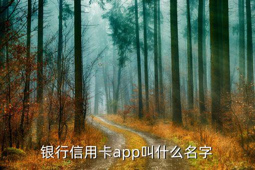 银行信用卡app叫什么名字