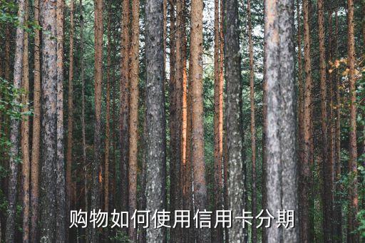 购物如何使用信用卡分期