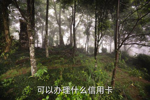 學生可以申请信用卡吗,18岁学生可以申请信用卡吗?