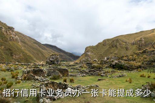 招行信用卡业务员办一张卡能提成多少
