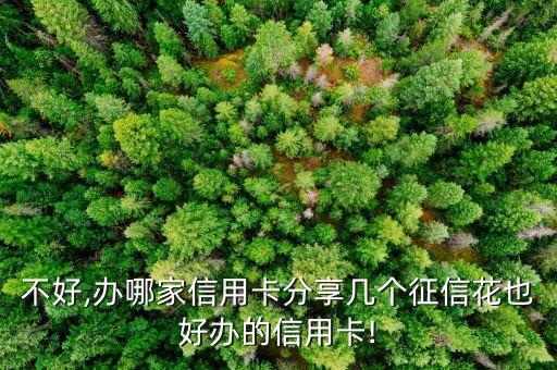 不好,办哪家信用卡分享几个征信花也好办的信用卡!
