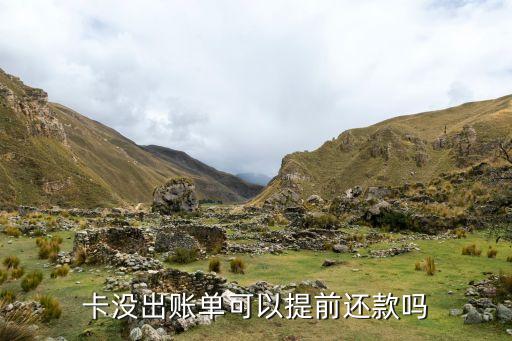 卡没出账单可以提前还款吗