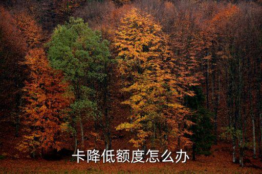 卡降低额度怎么办