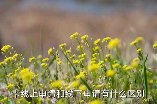 线上线下都申请了信用卡,线下办信用卡容易吗?