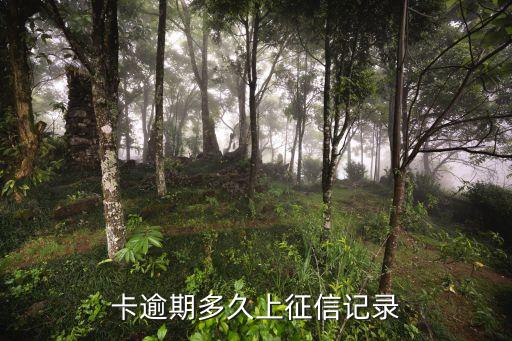 信用卡逾期能拉征信么,有信用卡逾期记录可以贷款吗?
